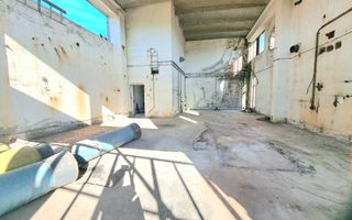 Hala pentru depozitare, productie SAD I Freidorf - Poză 5