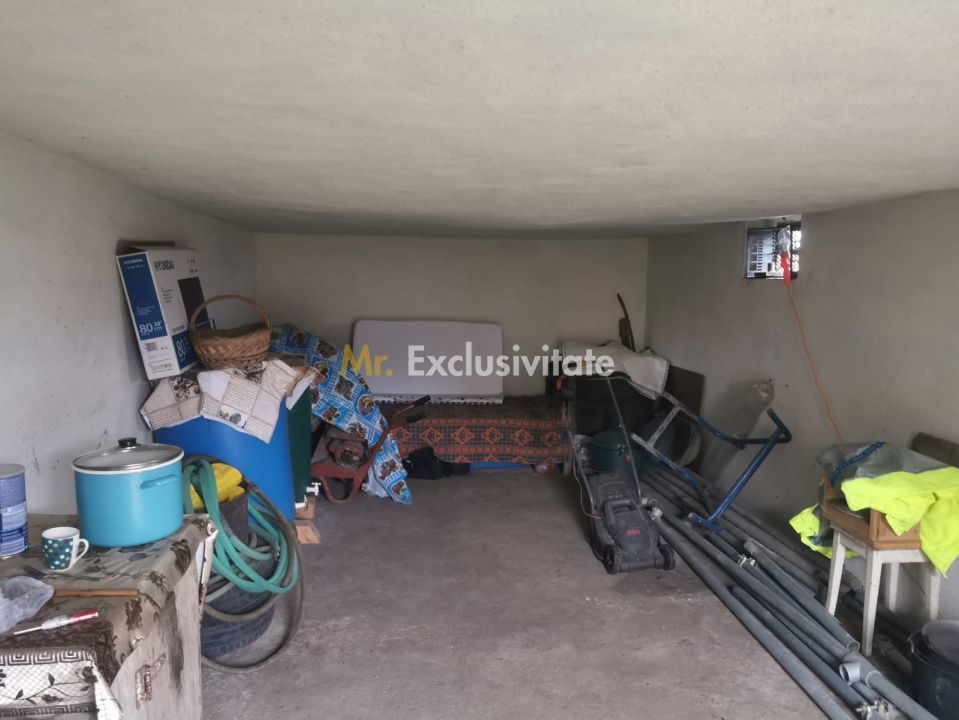De vanzare casa in Argetoaia cu teren 7.000 mp - Poză 11