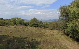 Teren  42,200 mp (4,22 hectare)-Parcelabil-investitie-Valea Jelnei - Poză 1