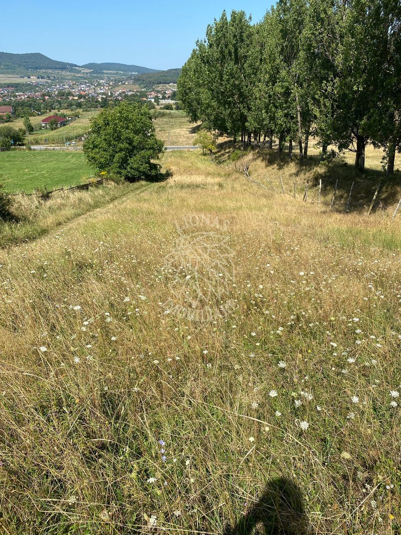 Teren intravilan 2600 mp - pretabil casa/investitie-Zona Aerodrom - Poză 7