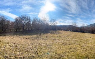 Teren intravilan I 2300mp I Zona Rasinari - Poză 1