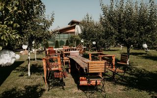 RESTAURANT DE VÂNZARE-COM. OBREJA\SAT IAZ\CARAȘ SEVERIN - Poză 4