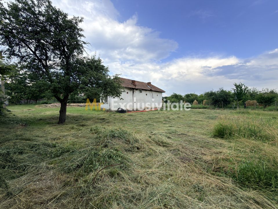 Teren intravilan–2.109 mp | Albești - Transfagarasan - Curtea de Arges - Poză 3