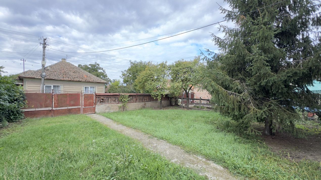 Casă 3 camere, Teren 3.263 mp, Str.Mărășești Nr.16 -Carei-Comision 0% cumpărător - Poză 10
