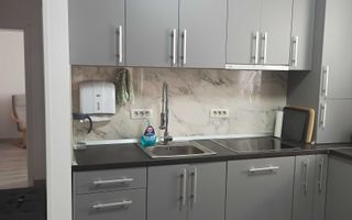 Apartament 2 camere Dumbravita etaj 1 - Poză 4