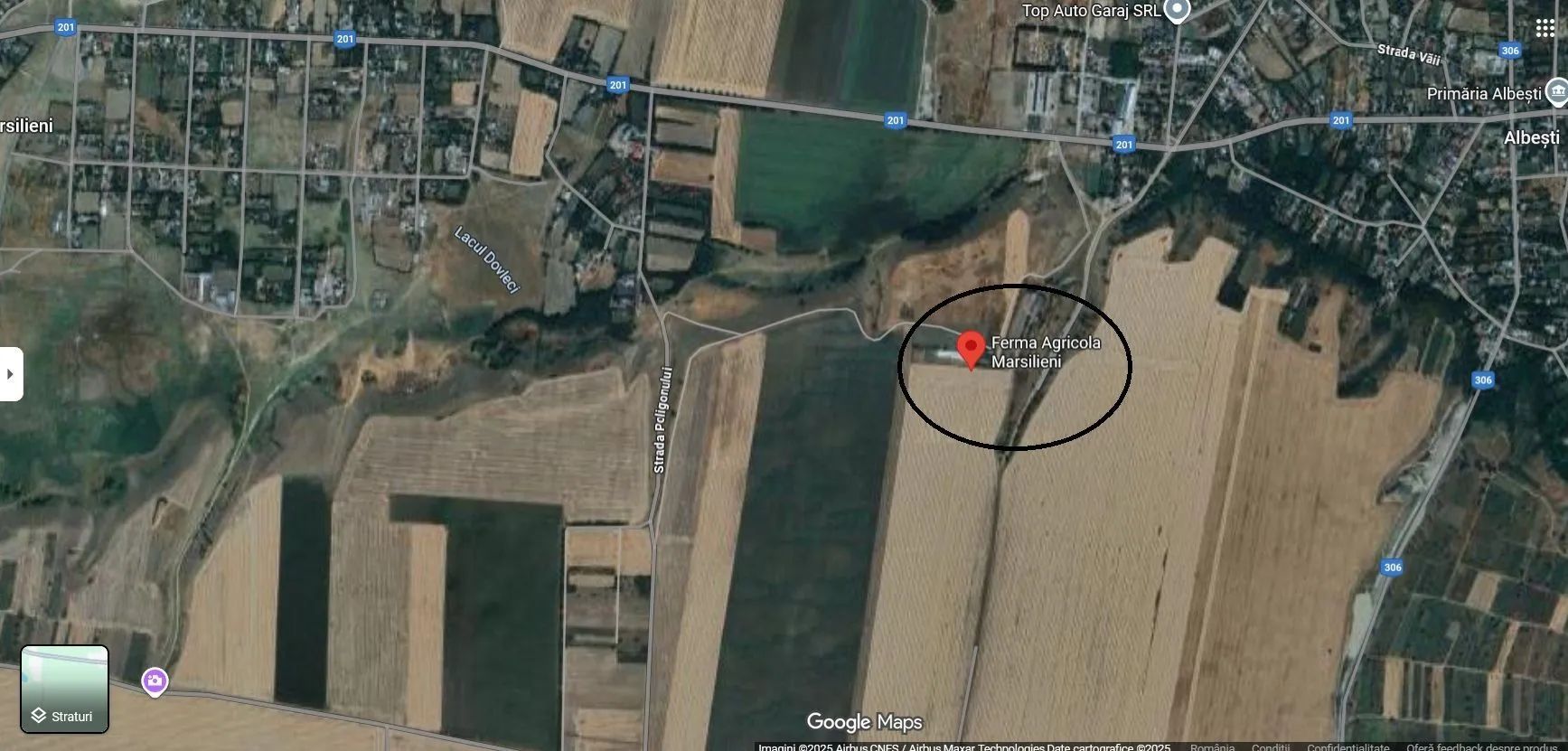 Ferma de gaini ouatoare in sistem free-range | 45.000 mp teren - Poză 7