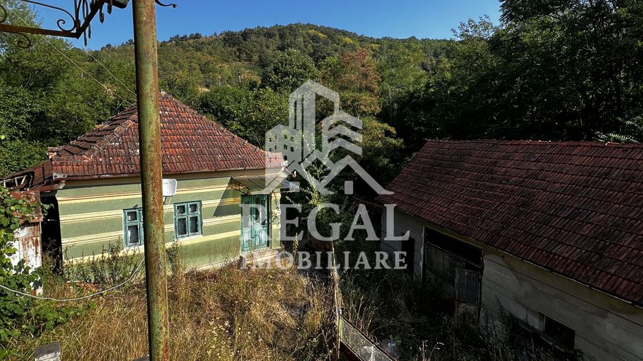 Două case cu teren de 36.291 mp, în Dealul Mic - Poză 15