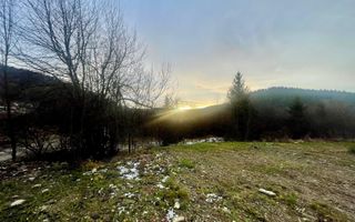 TEREN INTRAVILAN 2,26 HA | SUCEVITA | - Poză 6