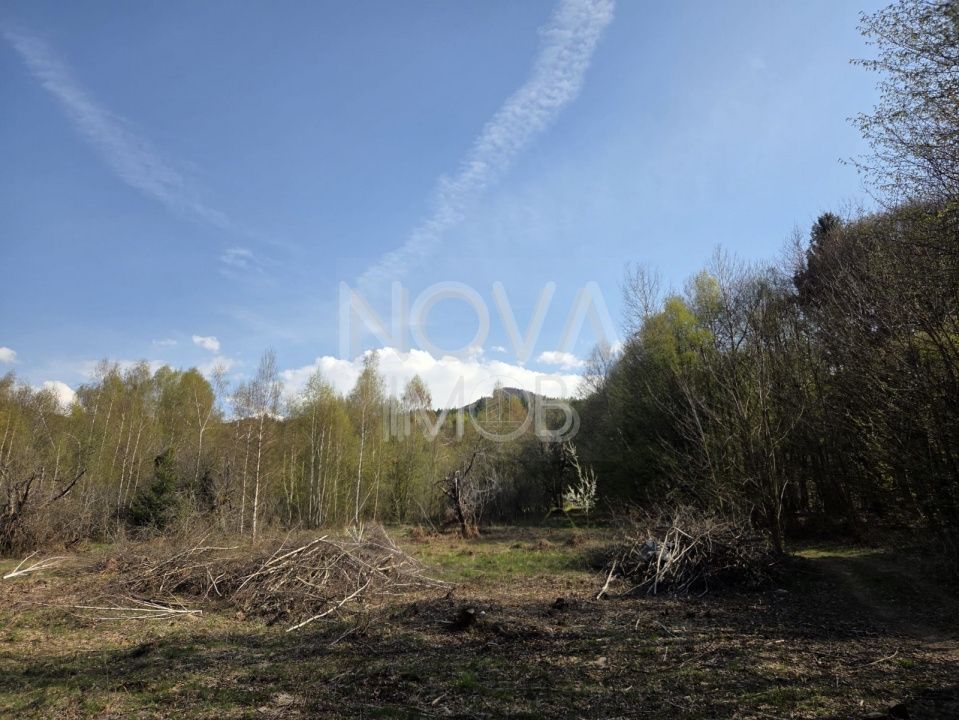 Teren intravilan de vanzare - Vistisoara - Poză 7