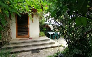 Casa 3 camere + Anexe, garaj, teren 2500 m2, an 1974, CT, Magurele, PH - Poză 5