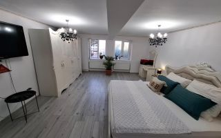 Balcescu 3 camere la casa - Poză 18