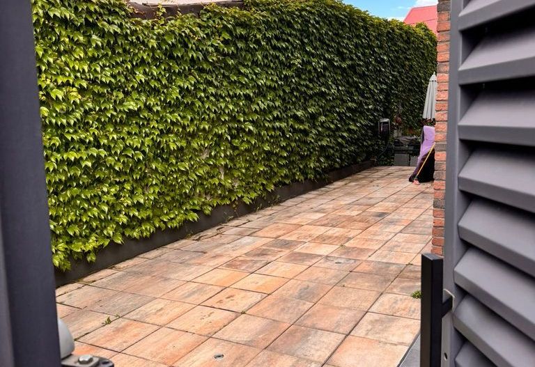 Vilă modernă Aviatiei / Verita School - Poză 4