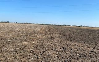 Teren agricol în Zona Sagului - Poză 7