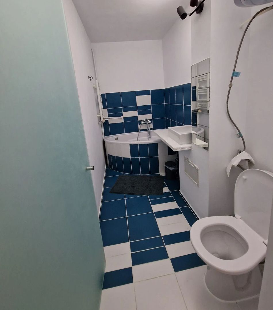 STUDIO TEIUL DOAMNEI, BOILER, BUCATARIE INCHISA, MOBILAT/UTILAT - Poză 5