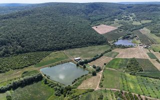 Teren de 6.2 Hectare cu Iaz propriu, lângă pădure – Vorniceni, Strășeni! - Poză 8