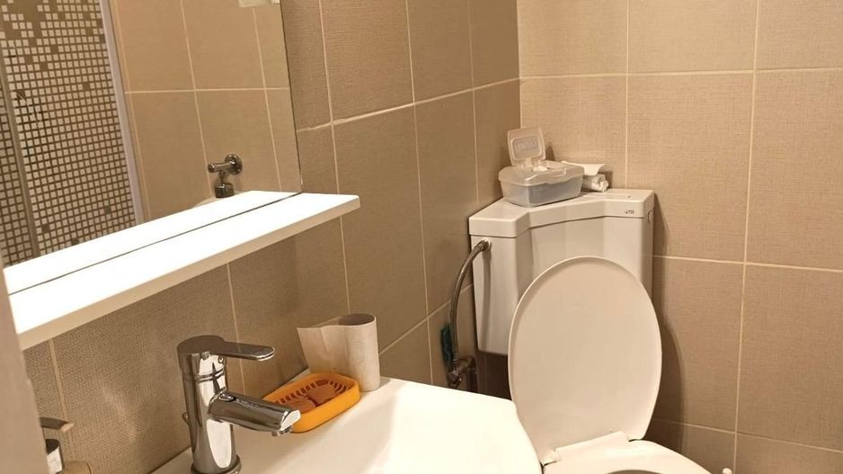 Casa individuala spatioasa si teren mare, pozitie excelenta, Sacalaz - Poză 9