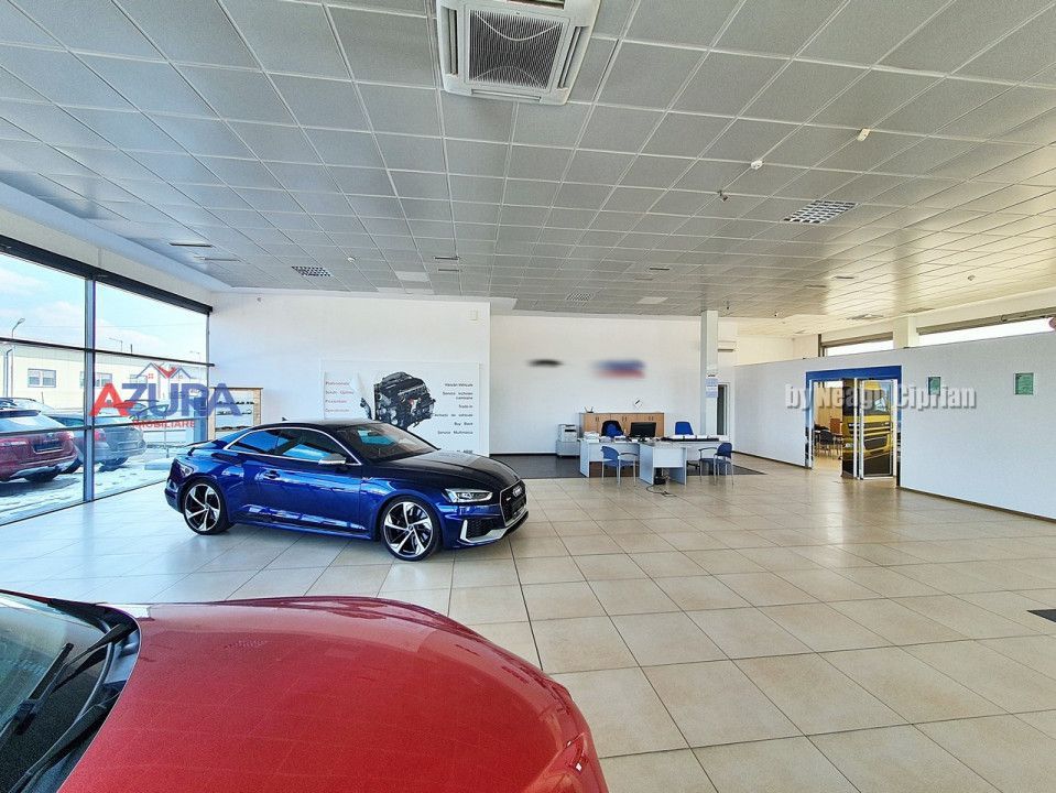 Spatiu Showroom + parcare, Stradal, DN65 Tiriac Auto Albota Pitesti - Poză 10