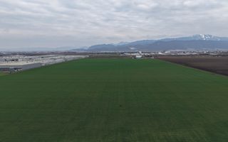 Teren de vânzare – 20.000mp – Ghimbav, lângă Parcul Industrial - Poză 6