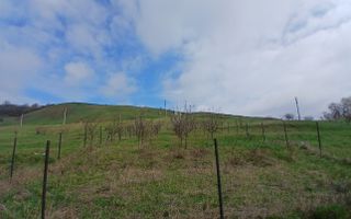 Teren De Vânzare I Suceava I 50.000 euro - Poză 8