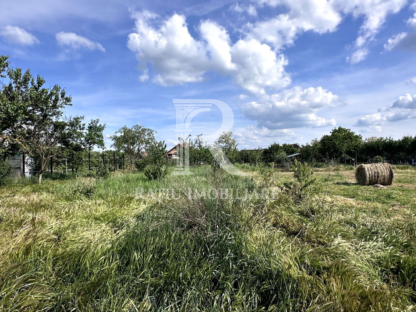Casa cu anexe si pivniță | Teren intravilan generos | Sannicolau Roman - Poză 26