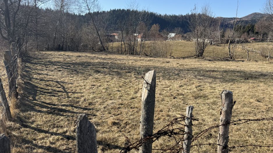 TEREN  INTRAVILAN 700 MP, LERESTI, ARGES - Poză 5