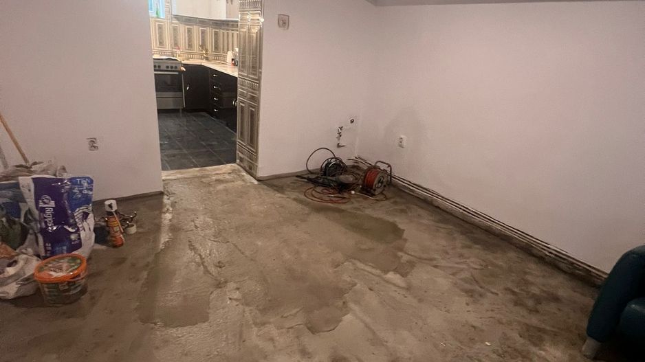 Casa de vanzare in Gruia - Poză 11