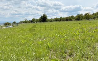 Teren 9461 mp cu panorama in Cartierul Podgoria din Oradea - Poză 5
