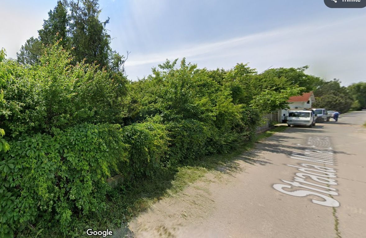 Izvorani | Deschidere la Lacul Snagov | Aparare de mal - Poză 5