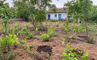 Teren intravilan 2562mp Loc 23 August | Ideal locuiță sau casă vacanță - Poză 5
