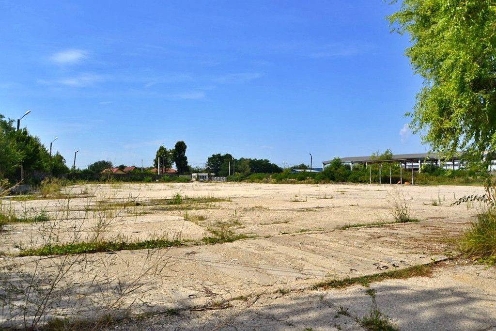 Mioveni - Hala, birouri, anexe, platforma De Inchiriat - Poză 13