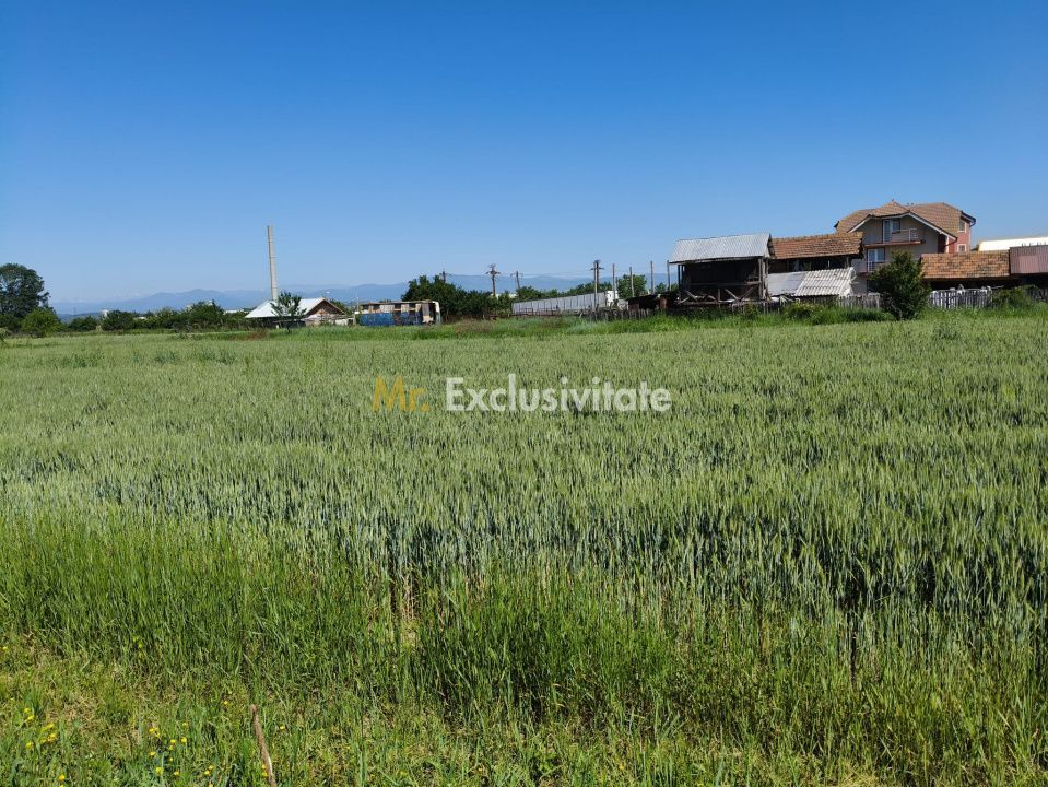 Teren 10.294 mp de vânzare Târgu Jiu | Intravilan + Extravilan | Utilități - Poză 4