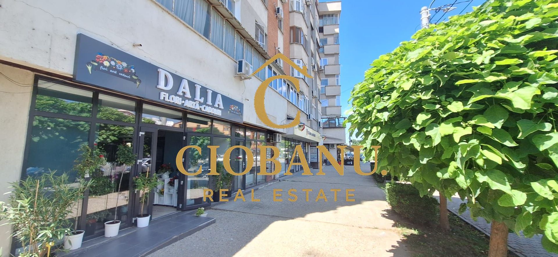Apartament 2 camere de închiriat Ultracentral, Lângă Gradina Botanica - Poză 14