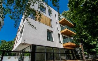 Spatiu comercial de inchiriat Floreasca - Poză 2