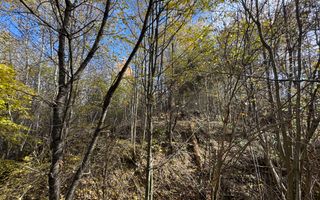 TEREN INTRAVILAN 13167 MP BUGHEA DE SUS ARGES - Poză 27