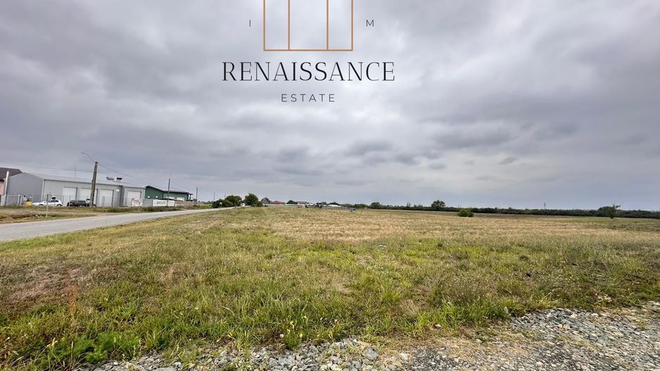 Mosnita Noua Teren 10.000mp | Front 63m | La asfalt - Zona de Case - Poză 5