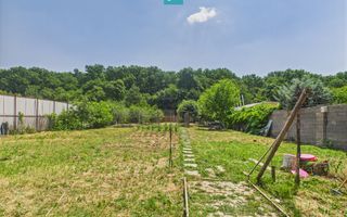 Teren edificabil 1106 mp – Dumbrăvița - Poză 6