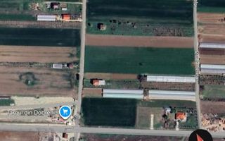 Loturi Teren de Vanzare | Dobreni | Intravilan | - Poză 3
