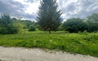 Teren Intravilan – 2.700 mp | Valea Avrigului | Zonă turistică deoseb - Poză 1