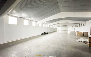HALA INDUSTRIALA DE INCHIRIAT | PECICA – ARAD - Poză 4