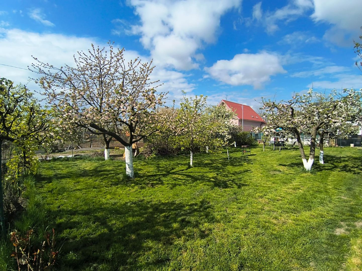 Casa + Teren Generos 1400 MP | Burdujeni – zona Penny - Poză 21