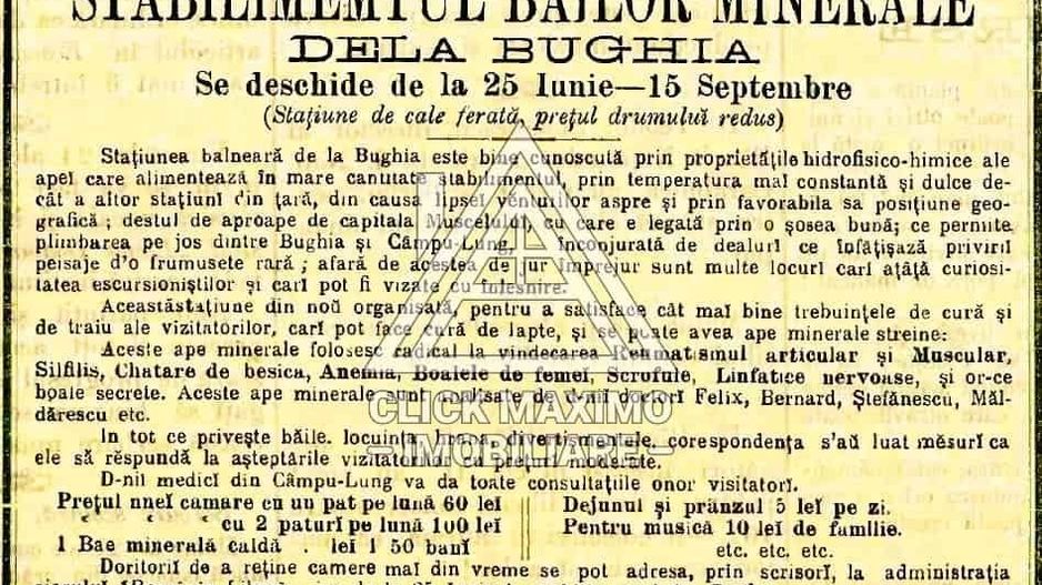 Teren 8 ha cu 15 izvoare minerale, lângă Câmpulung Argeș - Poză 7