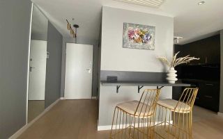 Apartament 2 camere | One Herastrau Towers | Premium - Poză 7
