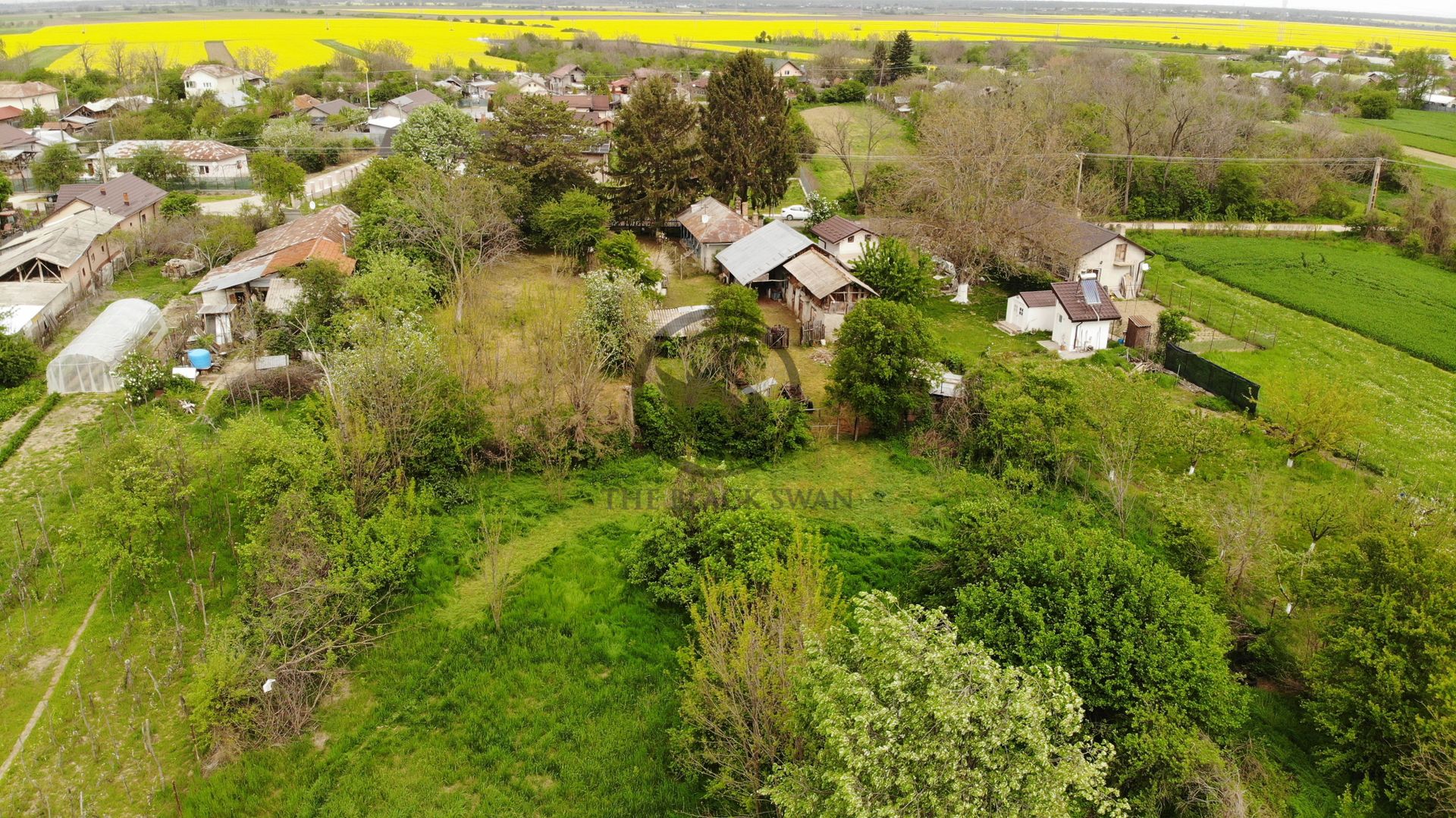 Teren si casa de vanzare | Habud - Sirna, Prahova | Comision 0% - Poză 5