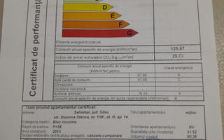 GARSONIERA MOBILATA SI UTILATA DOAMNA STANCA - Poză 4
