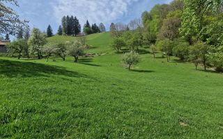 Langa emblematicul Castelul Bran, in areal colinar, 5.700mp intravilan - Poză 17