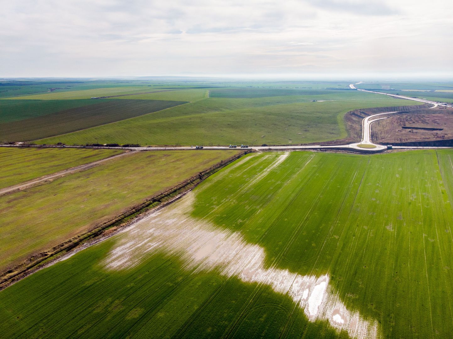 Teren 270,000mp Giarmata - Poză 6