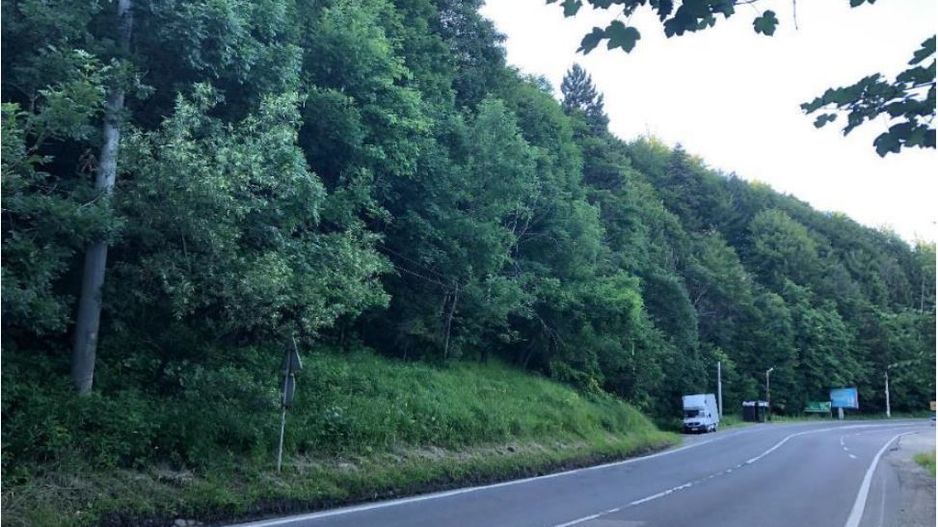 Teren intravilan in Busteni - Poză 4