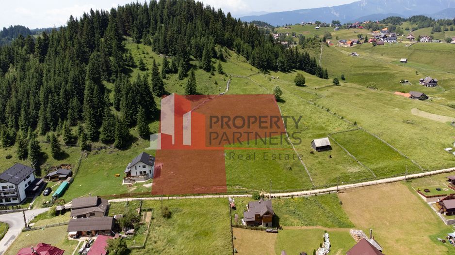 Teren Fundatica intravilan 4500 mp - Poză 1