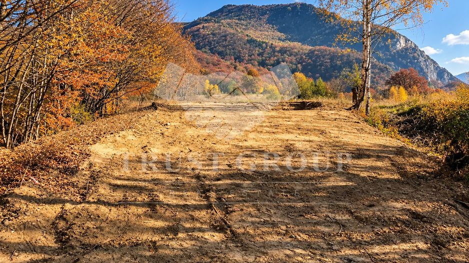 Teren de vânzare 1.300 mp în Râșnov | Proiect Glamping & Tiny Houses | - Poză 3