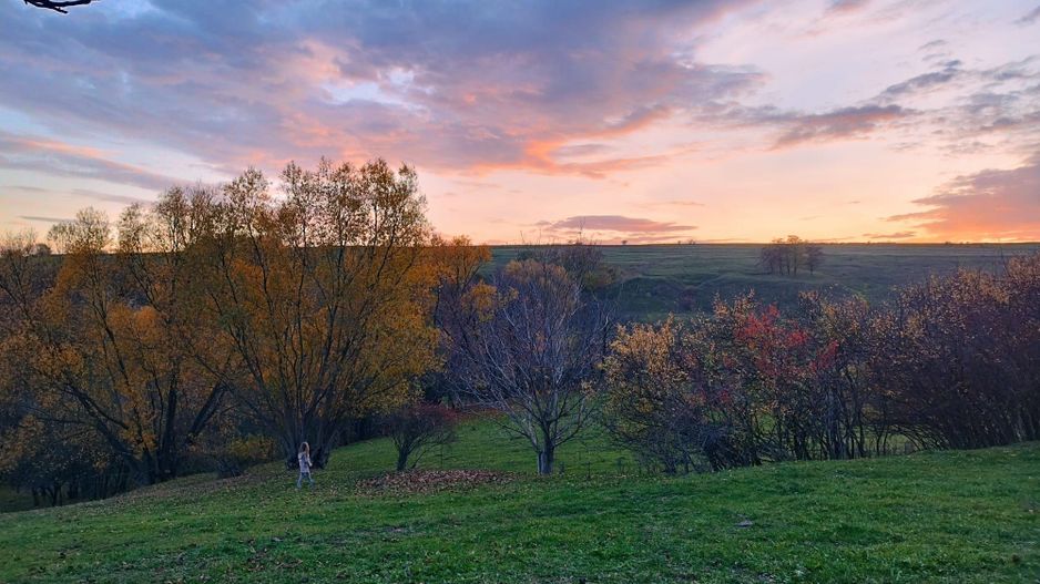 Teren intravilan | Mănăstioara – Siret | 2.200 mp - Poză 6